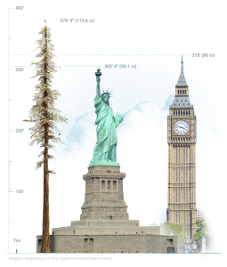 hyperion-height-comparison-statue-of-liberty-big-ben